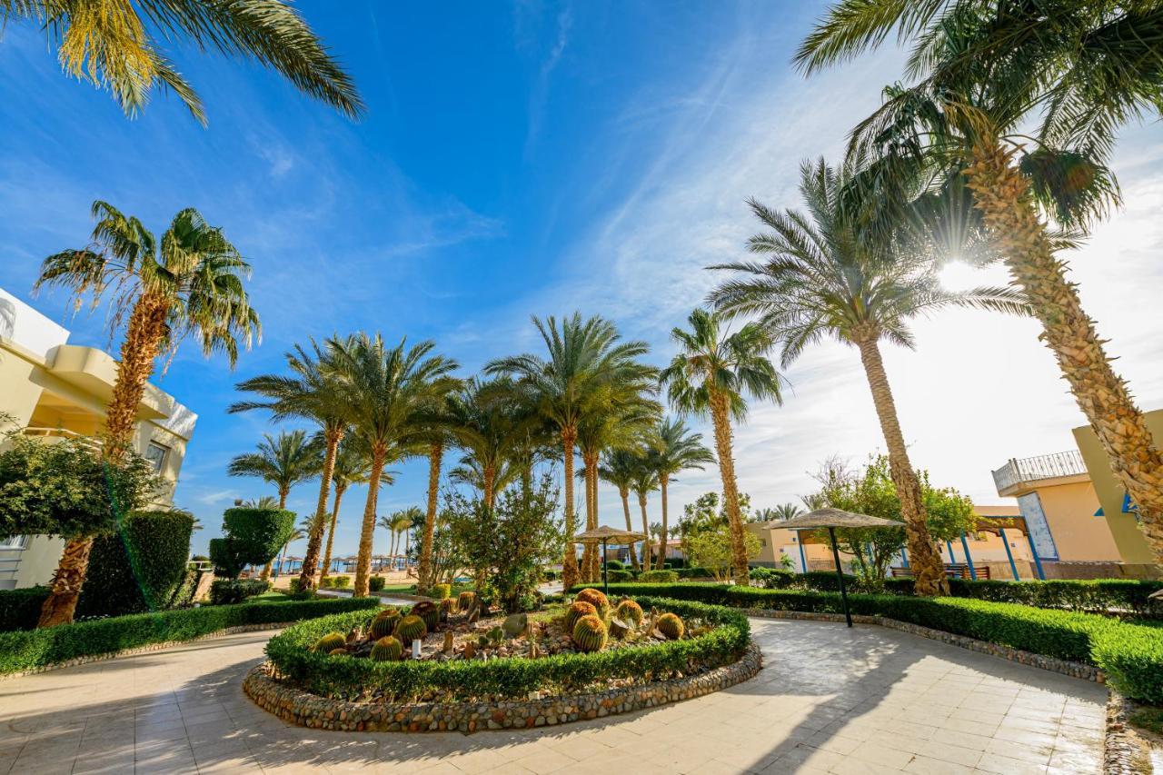 Golden Beach Resort フルガダ エクステリア 写真